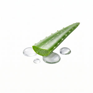 Aloe Vera & Hyaluronsäure