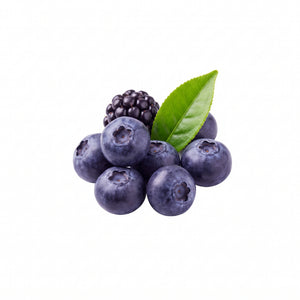 Antioxidantien