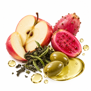 Phyto-Antioxidantien