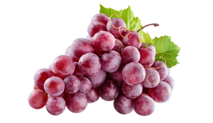 Resveratrol